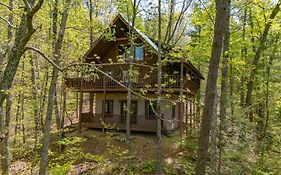 George'S Treehouse